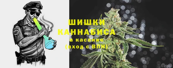 амф Аркадак