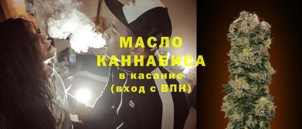 дмт Алексин