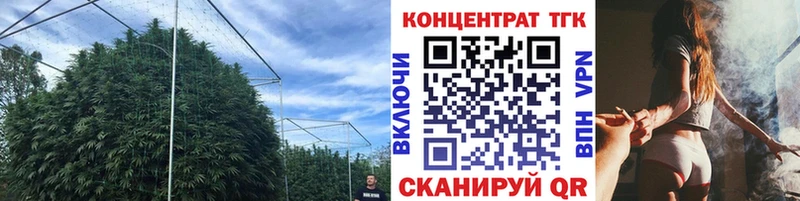 ТГК гашишное масло  МЕГА зеркало  Жуковка  где купить наркоту 